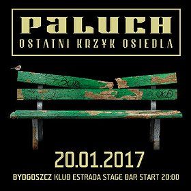 Paluch Bydgoszcz