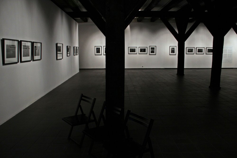 Anita Andrzejewska-obraz 127