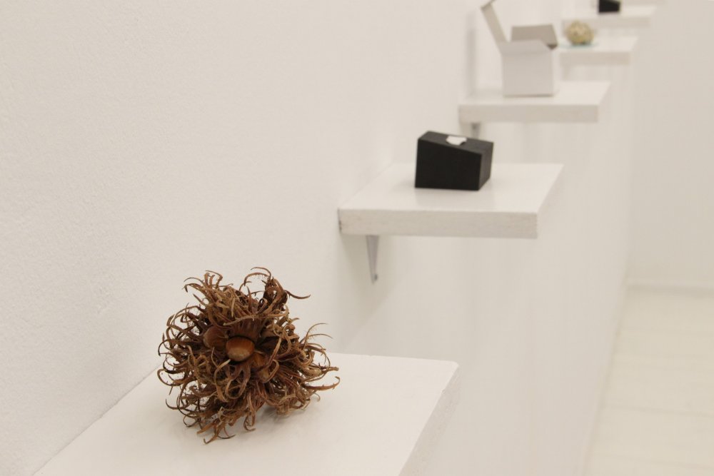 Paulina Pazdziera-obraz 102