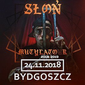 Słoń - Bydgoszcz