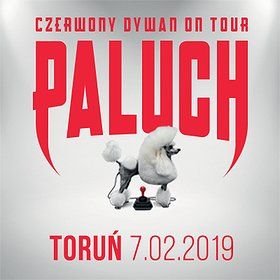 Paluch - Toruń