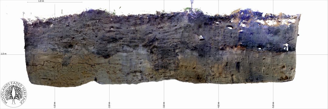 Skan profilu wykopu sondażowego ukazujący nawarstwienia archeologiczne miejsca gdzie mieszkali ludzie żyjący w osadzie, opracowanie J. Krawiec Laser-3D